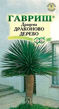  Драцена Драконово дерево 3шт цв Гавриш