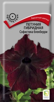  Петуния гибридная Софистика Блекберри 5шт цв Поиск