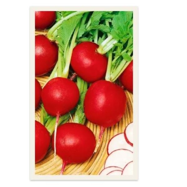  Редис Гранатовый шар симбиоз цв Урал. Дачник