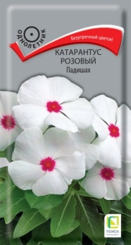  Катарантус Падишах розовый 0,1г цв Поиск