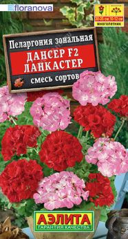  Пеларгония Дансер F2 Ланкастер смесь цв Аэлита
