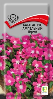  Катарантус ампельн Персей 10шт цв Поиск