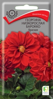  Георгина низкоросл Барокко красная 0,1г цв Поиск