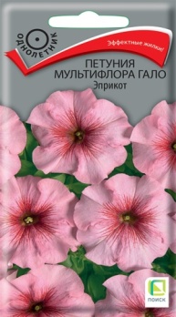  Петуния мультифлора Гало Эприкот 10шт цв Поиск