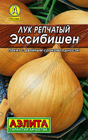  Лук репчатый Эксибишен цв Аэлита (лидер)