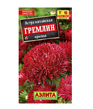  Астра Гремлин красная цв Аэлита 
