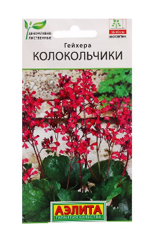  Гейхера Колокольчики цв Аэлита