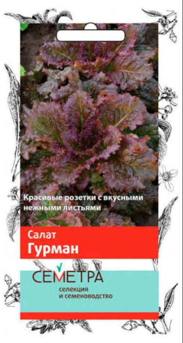  Салат Гурман 1г цв Семетра Поиск