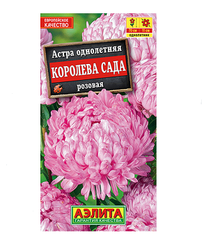  Астра Королева сада розовая цв Аэлита