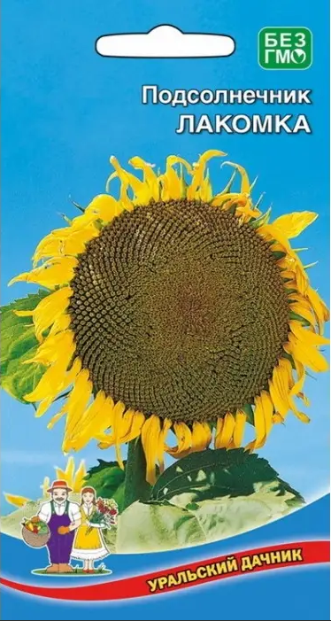  Подсолнечник Лакомка цв Уральский Дачник