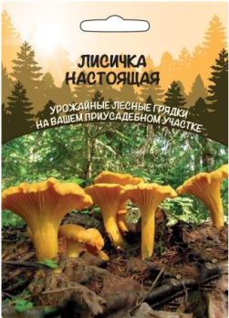  Грибы Лисичка настоящая цв ССПК Урал.Дачник б/ф