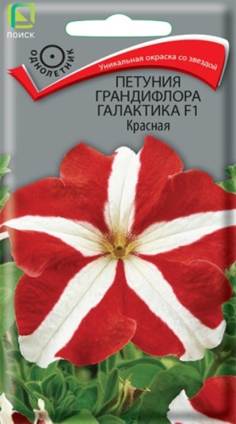  Петуния грандифлора Галактика красная 10шт цв Поиск