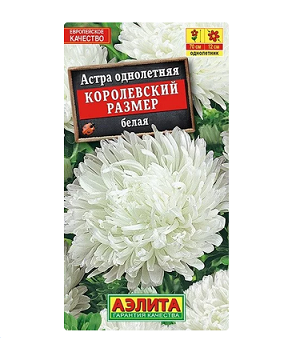  Астра Королевский размер белая цв Аэлита