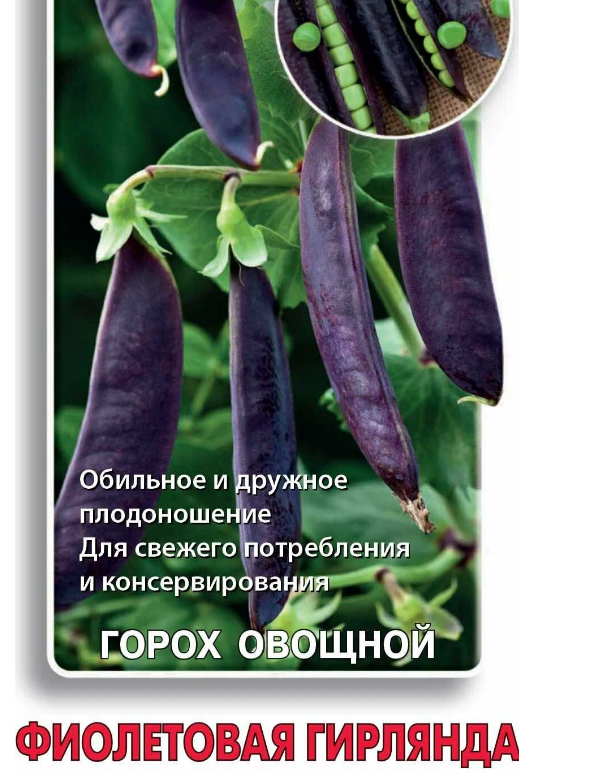  Горох овощной Фиолетовая гирлянда 5г цв Поиск