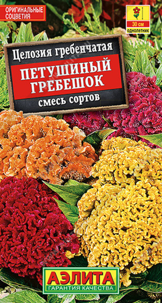  Целозия Петушиный гребешок гребенчатая цв Аэлита