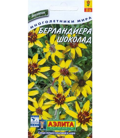  Бузина черная Возрождение цв Аэлита