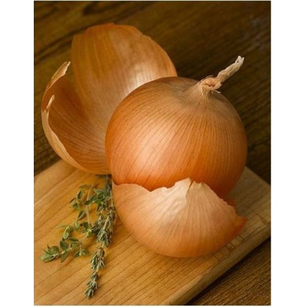  Лук репчатый Ледокол 0,5г Россельхозцентр