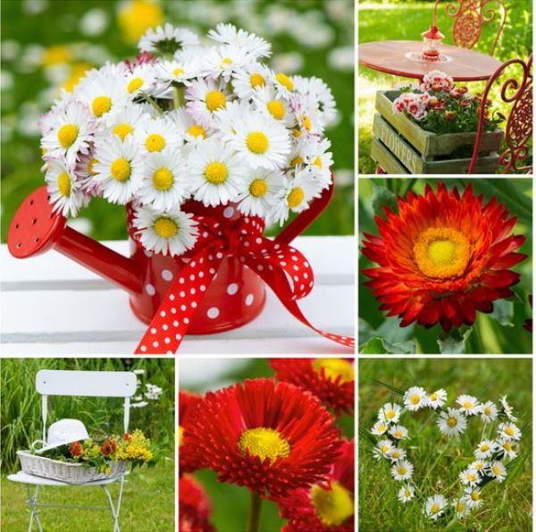  Клеенка Grace 1,40х20м ткань с пвх покрыт. ST1057-1