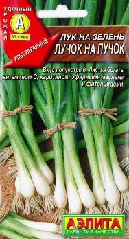  Лук на зелень Лучок на пучок 0,5г цв Аэлита