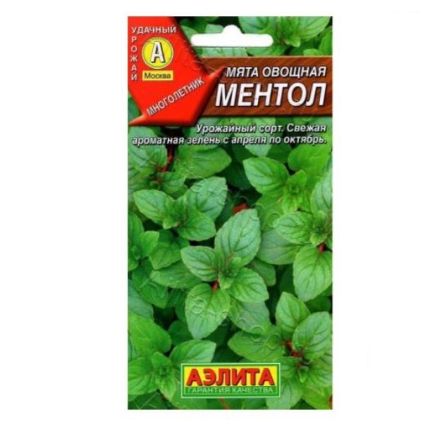  Мята овощная Ментол цв Аэлита (Лидер)