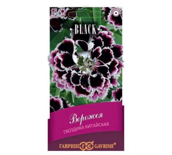  Гвоздика китайская Ворожея 0,05г Блэк Гавриш