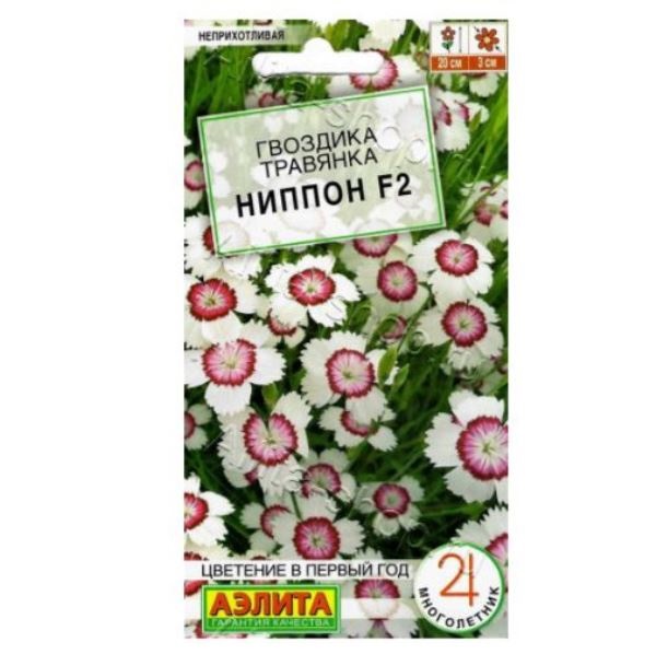  Гвоздика Ниппон F2 многолет цв Аэлита 