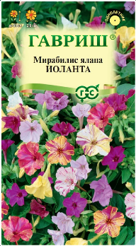  Мирабилис Иоланта 1г цв Гавриш