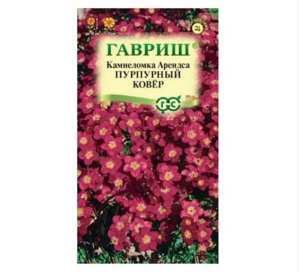  Камнеломка Арендса Пурпурный ковер 0,01г Гавриш