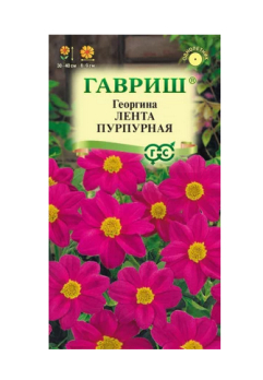 Георгина Лента пурпурная 0,2г цв Гавриш