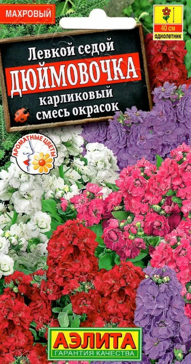  Левкой Дюймовочка карликовый смесь цв Аэлита