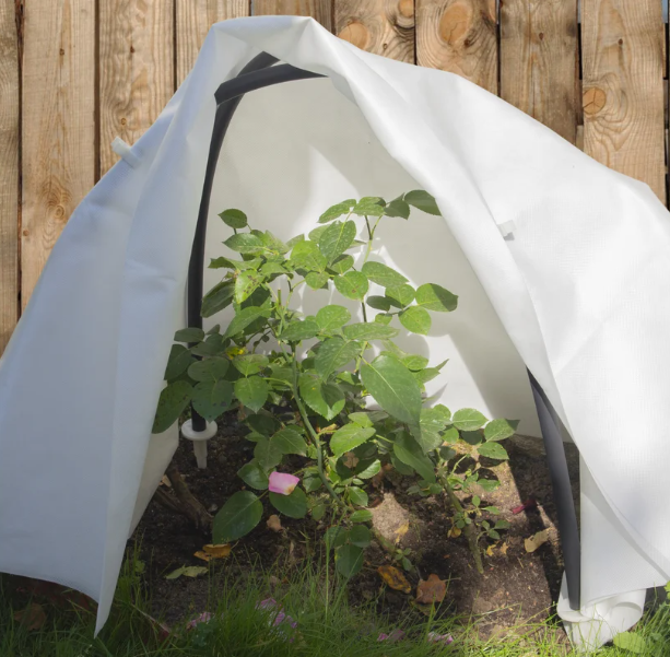  Агротекс Сад Зимнее укрытие для роз с дугами 1,6*1,6м (белый спанбонд)