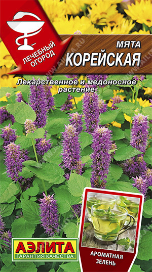  Мята Корейская 0,05г цв Аэлита