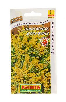  Золотарник Жозефина цв. Аэлита