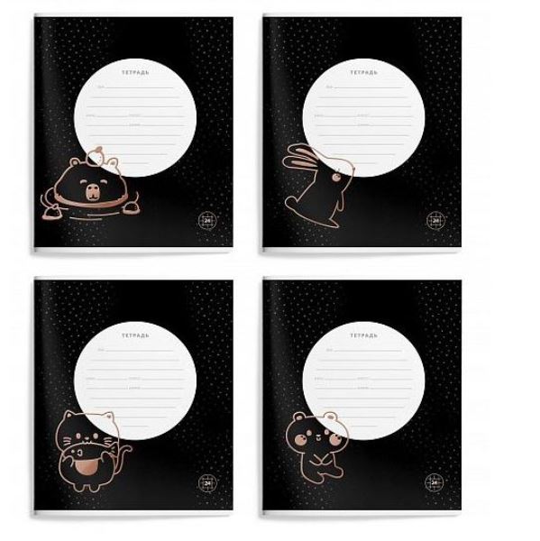  Тетрадь 24л клетка Lorex Kids Black Side 259983