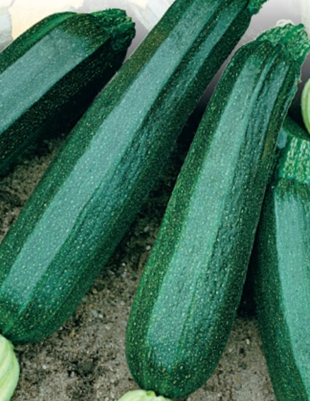  Кабачок Цукеша 2 г Россельхозцентр