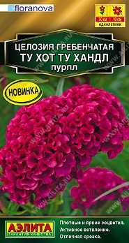  Целозия гребенчатая Ту хот ту хандл пурпл 5шт цв Аэлита