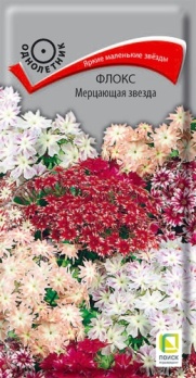  Флокс друммонда Мерцающая звезда 0,2г цв Поиск
