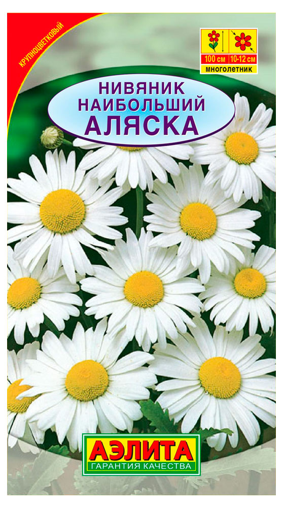  Нивяник Аляска наибольший цв Аэлита