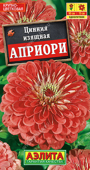  Цинния Априори цв Аэлита