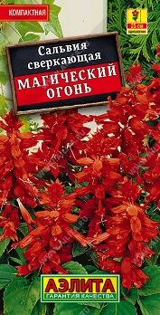  Сальвия Магический огонь цв Аэлита