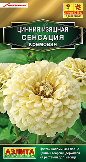  Цинния Сенсация кремовая цв Аэлита