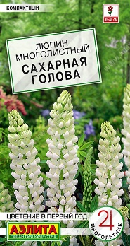  Люпин Сахарная голова цв Аэлита