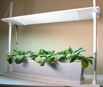  Фитосветильник для рассады 5урожаев FITO 570мм 30Вт на 30.000люкс 