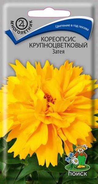  Кореопсис крупноцветковый Затея 0,05гр цв 