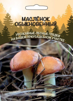  Грибы Масленок обыкновенный цв ССПК Урал.Дачник б/ф