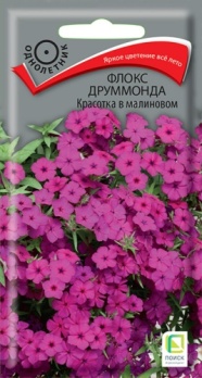  Флокс друммонда Красотка в малиновом 0,1г цв Поиск