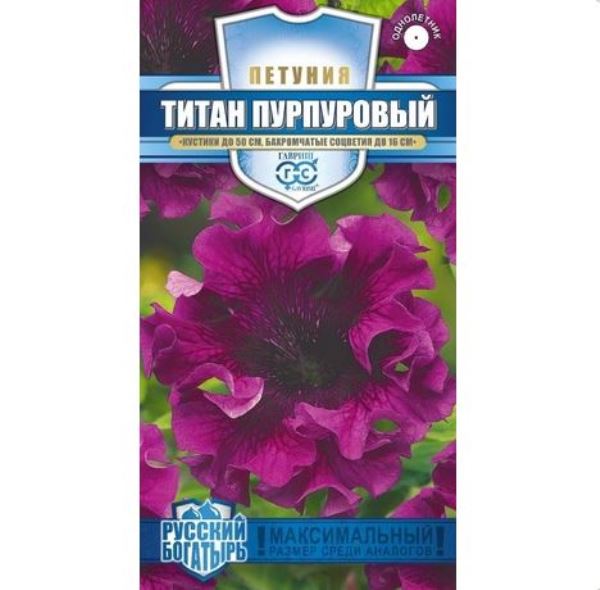  Петуния Титан Пурпурный бахр 7шт Русский богатырь Гавриш