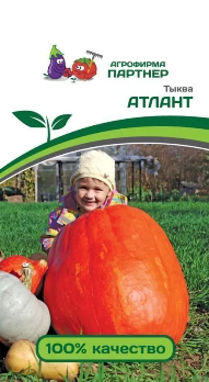 Тыква Атлант 10шт цв Партнер