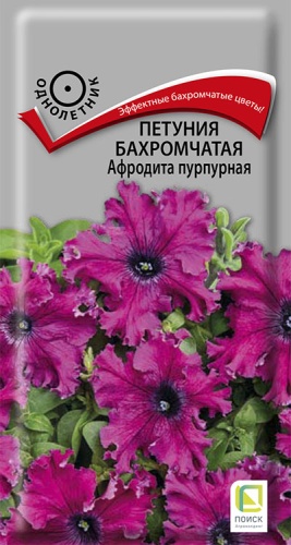  Петуния бахромч Афродита пурпурная 10шт цв Поиск