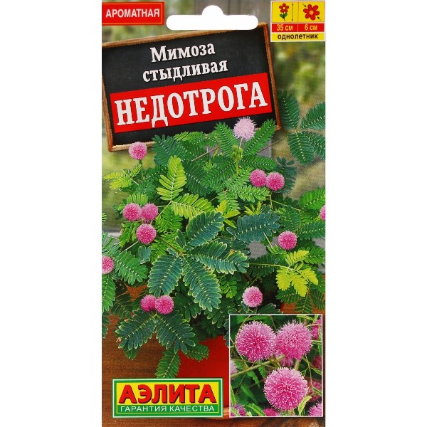  Мимоза Недотрога цв Аэлита